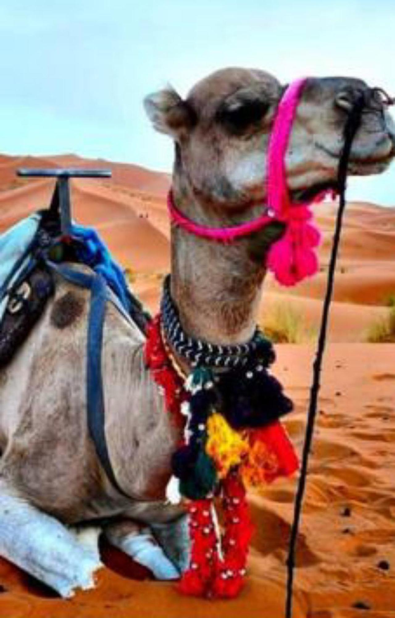 Luxury Desert Camp Merzouga Luaran gambar